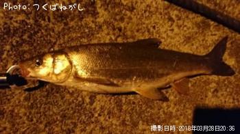 �ޥ륿������