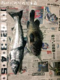 ������ޥ�