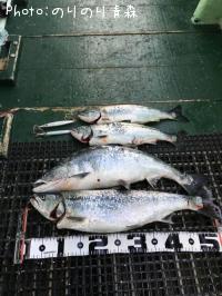 ������ޥ�