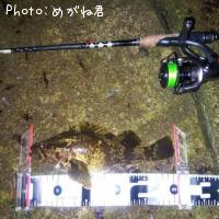 �����Υ���Х�