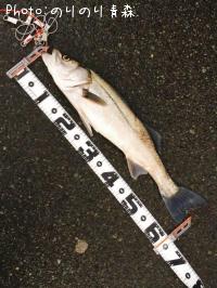 �����Х���������