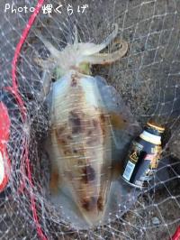 �����ꥤ��