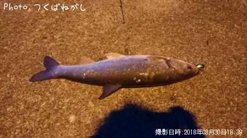 �ޥ륿������