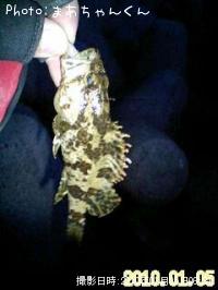 �����Υ���Х�