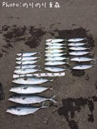 ��饵�����ʥ�