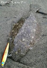 �ҥ��ʥ�����