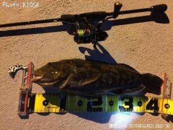 �����ʥ�