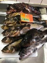 �����ʥᡡ��������������