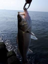 �����Х�