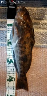 �����ʥ�