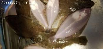 ¥à¥·¥¬¥ì¥¤