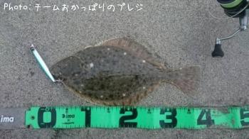 �������쥤