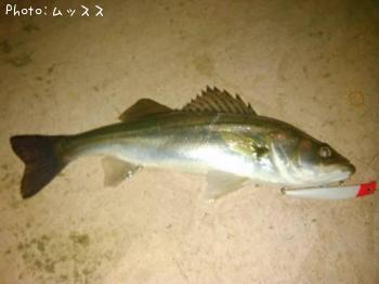 �����Х�