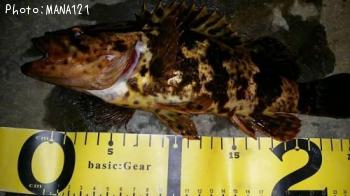 ¥¿¥±¥Î¥³¥á¥Ð¥ë