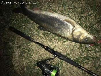 �ޥ륿������