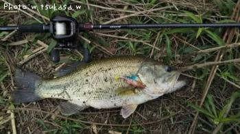 �֥�å��Х�