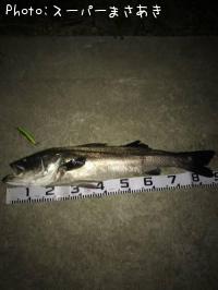 �����Х�