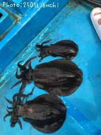 �����ꥤ��