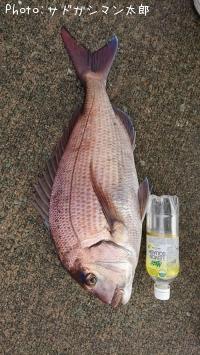 �ޥ���
