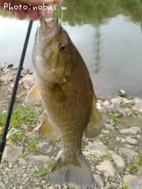 �֥�å��Х�