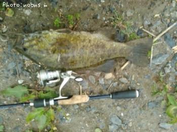 �֥�å��Х�