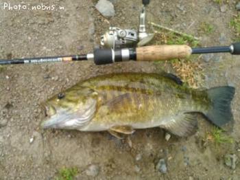 �֥�å��Х�