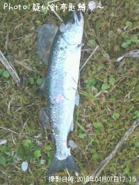 ���ĥ��ޥ�