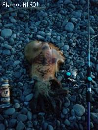 �����ꥤ��