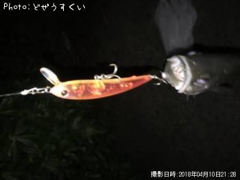 �����Х��ʥҥ饻������