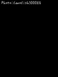 �����Х�