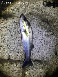 �����Х�