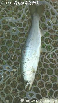 ���ĥ��ޥ�