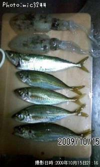 ¥¢¥¸¡¡¥µ¥Ð