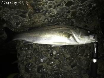 �����Х�