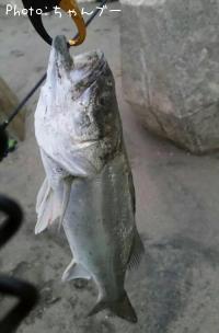 �����Х�