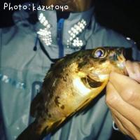 ��Х�