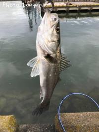 �����Х�