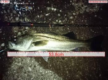 �����Х������Υ���