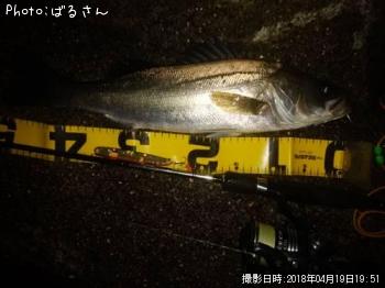 �����Х�