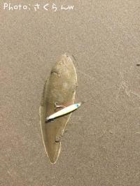 �����ӥ��