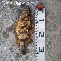 �����Υ���Х�