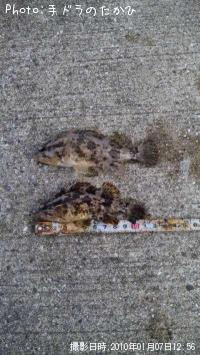 ¥¿¥±¥Î¥³¥á¥Ð¥ë