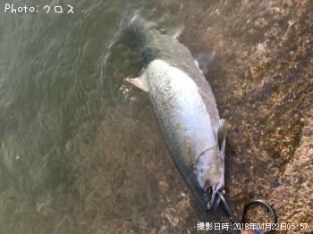 ������ޥ�