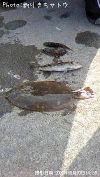 �����ʥᡦ���쥤