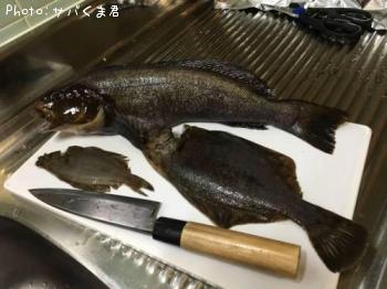 �����ʥ�����쥤