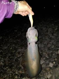 �����ꥤ��