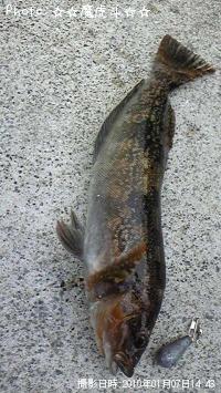 �����ʥ�