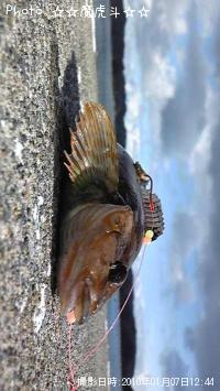 �����ʥ�