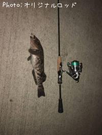 �����ʥ�