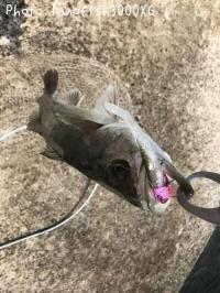 �����Х�